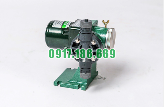 Bán Bơm Định Lượng Dongil DS-30