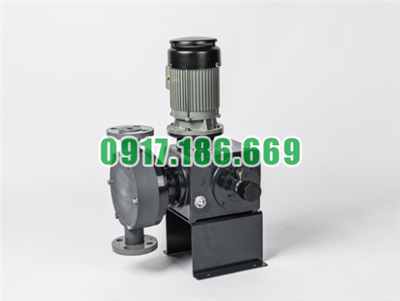 Bán Bơm Định Lượng Dongil DNE851
