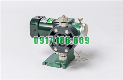Bán Bơm Định Lượng Dongil DS-05