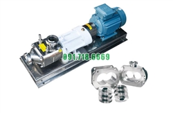 Bơm trục vít đôi FSL-05-22 vật liệu inox 304