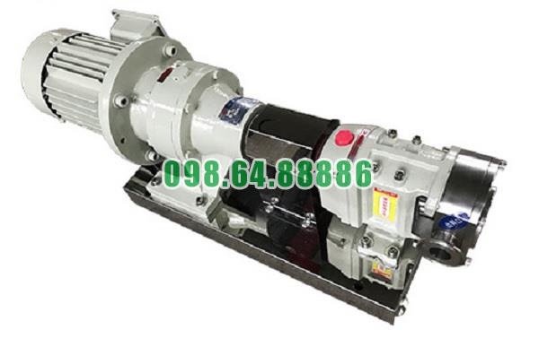 Máy bơm lobe 3RP-80 công suất 11 kW kết nối DN80