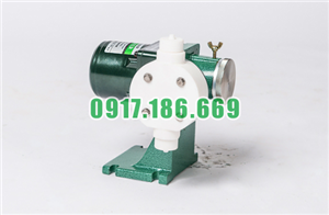 Bán Bơm Định Lượng Dongil DS-10