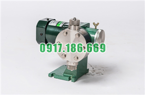 Bán Bơm Định Lượng Dongil DS-20